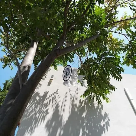 Serene Home, Modern Amenities Near The Apartment